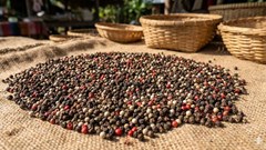 Giá hồ tiêu hôm nay 25.1: Lực mua cải thiện, giá nhích lên