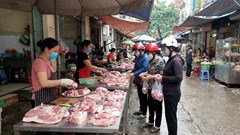 Giá heo hơi hôm nay 26.1: Miền Bắc lập đỉnh 80.000 đồng/kg