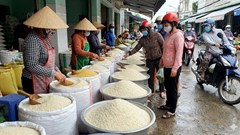 Giá lúa gạo hôm nay 26.1: Gạo nguyên liệu giảm nhẹ