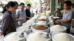 Giá lúa gạo hôm nay 27.1: Lúa tươi ổn định, gạo nguyên liệu giảm nhẹ