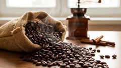 Giá cà phê hôm nay 28.1.2026 neo cao trên 100.000 đồng/kg