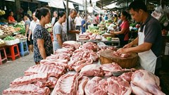 Giá heo hơi hôm nay 28.1: Miền Bắc chạm đỉnh 81.000 đồng/kg