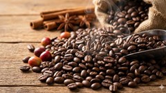 Giá cà phê hôm nay 29.1: Neo quanh 101.000 đ/kg trước Tết