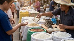 Giá lúa gạo hôm nay 29.1: Giao dịch chậm, giá mềm