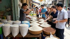 Giá lúa gạo hôm nay 31.1: Lúa thơm giữ giá trước Tết