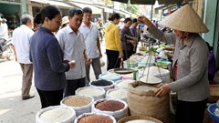 Giá lúa gạo hôm nay 1.2.2026: Thị trường ổn định, giao dịch dè dặt trước Tết