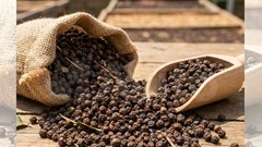 Giá hồ tiêu hôm nay 1.2.2026: Đi ngang trước Tết