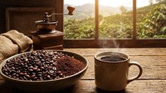 Giá cà phê hôm nay 2.2.2026: Chưa giảm sâu dù thị trường chậm nhịp