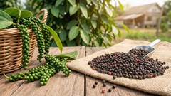 Giá tiêu hôm nay 8.2: Nhiều địa phương giảm 1.000 đồng/kg