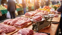 Giá heo hơi hôm nay 9.2: Nhu cầu tăng mạnh, thị trường sôi động