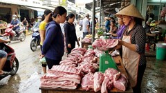 Giá heo hơi hôm nay 18.2: Miền Bắc, miền Trung dẫn đầu