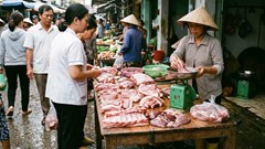 Giá heo hơi hôm nay 21.2: Ba miền đồng loạt đi ngang