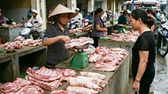 Giá heo hơi hôm nay 22.2 (Mùng 6 Tết): Cao nhất 73.000 đồng/kg