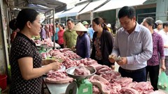 Giá heo hơi hôm nay 24.2: Miền Bắc có nơi giảm còn 70.000 đồng/kg