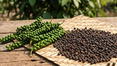 Giá hồ tiêu hôm nay 24.2: Tăng chạm 152.000 đồng/kg