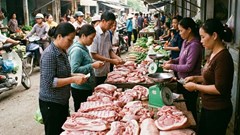 Giá heo hơi hôm nay 26.2: Cả nước dao động 69.000 – 72.000 đồng/kg