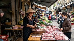 Giá heo hơi hôm nay 2.3: Miền Nam lên 72.000 đồng/kg