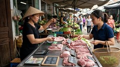 Giá heo hơi hôm nay 4.3: Miền Bắc chạm đáy 65.000 đồng/kg