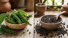 Giá hồ tiêu hôm nay 4.3: Neo ở đáy 145.000 đồng/kg