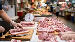 Giá heo hơi hôm nay 5.3: Miền Nam giữ đỉnh 70.000 đồng/kg