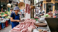 Giá heo hơi hôm nay 6.3: Miền Nam giữ mốc 70.000 đồng/kg