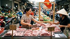 Giá heo hơi hôm nay 11.3: Dao động 60.000 – 68.000 đồng/kg