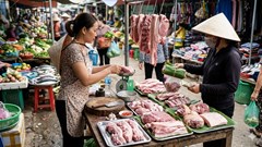 Giá heo hơi hôm nay 16.3: Dao động 60.000 – 66.000 đồng/kg