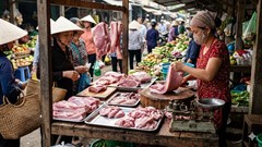 Giá heo hơi hôm nay 22.3: Toàn quốc neo cao, khó giảm sâu