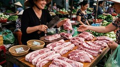 Giá heo hơi hôm nay 23.3: Miền Nam giữ đỉnh 69.000 đồng/kg