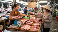 Giá heo hơi hôm nay 24.3: Neo cao tới 69.000 đồng/kg