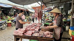 Giá heo hơi hôm nay 29.3: Áp lực giảm xuất hiện ở miền Trung