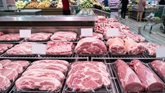 Giá heo hơi hôm nay 7.4: Tăng trở lại, miền Bắc dẫn đầu