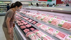 Giá heo hơi hôm nay 9.4: Thị trường ổn định ở mức cao