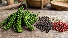 Giá hồ tiêu hôm nay 10.4: Điều chỉnh giảm sau chuỗi tăng