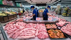 Giá heo hơi hôm nay 11.4: Giữ đỉnh 69.000 đồng/kg