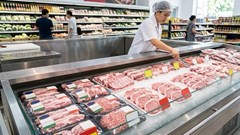 Giá heo hơi hôm nay 12.4: Thị trường phân hóa giữa ba miền