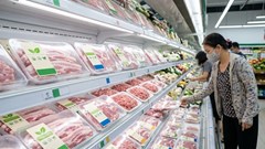 Giá heo hơi hôm nay 15.4: Ổn định trên cả nước, giữ giá cao