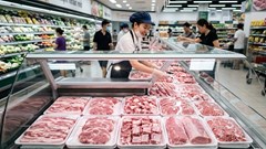 Giá heo hơi hôm nay 25.4: Xuất hiện tín hiệu tăng trở lại