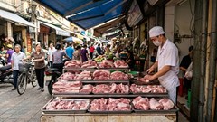 Giá heo hơi hôm nay 29.4: Nhiều nơi chạm ngưỡng cao