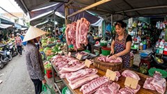 Giá heo hơi hôm nay 8.5: Xu hướng tăng nhẹ vẫn duy trì