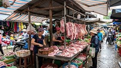 Giá heo hơi hôm nay 14.5: Đồng Nai giữ đỉnh 71.000 đồng/kg