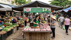 Giá heo hơi hôm nay 19.5: Thị trường ổn định, chờ tín hiệu tăng mới