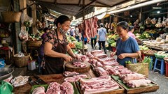 Giá heo hơi hôm nay 20.5: Thị trường ổn định, miền Nam vẫn dẫn đầu