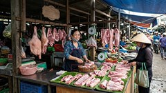 Giá heo hơi hôm nay 23.5: Nhiều nơi chạm mốc 70.000 đồng/kg