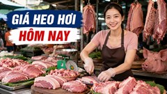 Giá heo hơi hôm nay 28.5: Nguồn cung tăng dần, giá bắt đầu phân hóa giữa các vùng