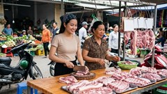 Giá heo hơi 3.6 tiếp tục giảm, miền Nam đồng loạt về 67.000 đồng/kg