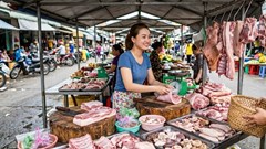 Giá heo hơi hôm nay 10.6 tiếp tục giảm, nhiều nơi chạm đáy mới