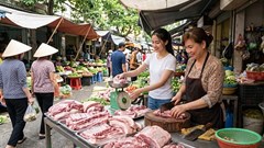 Giá heo hơi hôm nay 16.6: Miền Bắc giữ đỉnh 68.000 đồng/kg