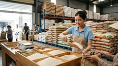 Giá lúa gạo hôm nay 20.6.2026: Nguồn lúa ít, giá nhích nhẹ ở nhiều nơi