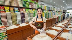 Giá lúa gạo hôm nay 22.6: Lúa trong nước ổn định, gạo xuất khẩu nhích nhẹ